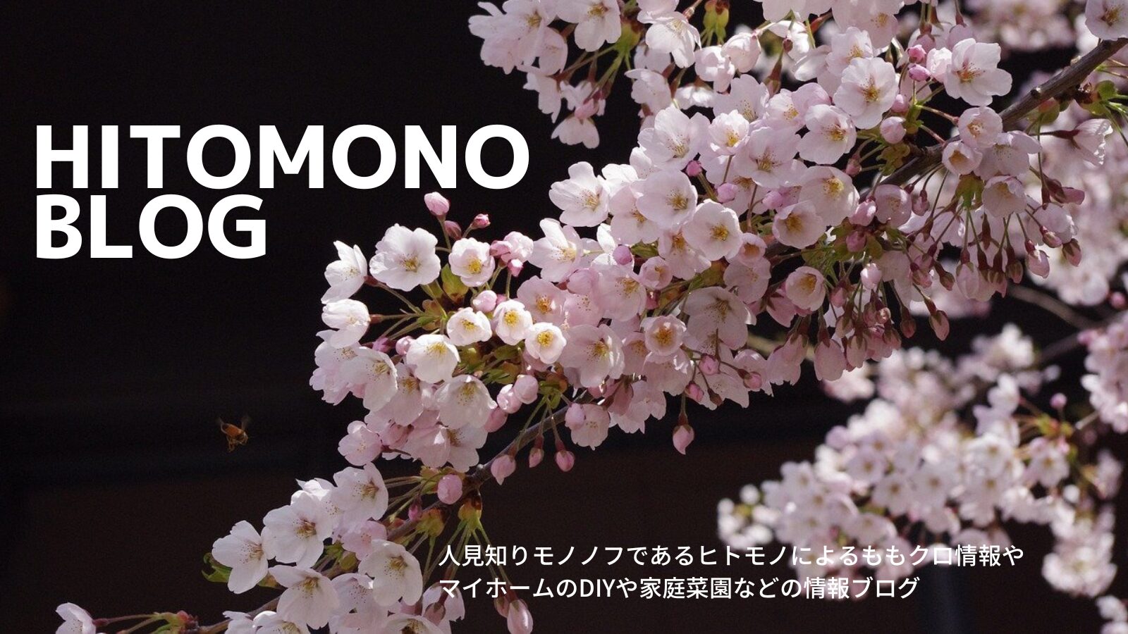 ヒトモノブログ～人見知りモノノフのブログ～